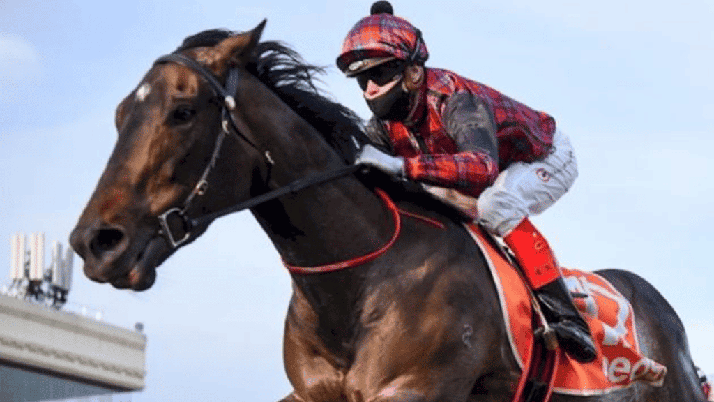 Two Years On, Felicia Cements Her Place as Racing’s Comeback Queen.